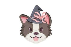15032024CF08.jpg Cute Dog with Witch Hat
