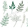 Hand Drawn Leaves Svg Bundle