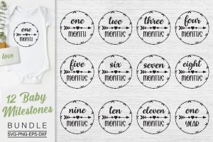 4042023CF48.jpg Baby Monthly Milestones Svg Bundle