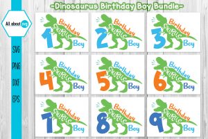 4042023CF53.jpg Birthday Dinosaurus Boy Bundle