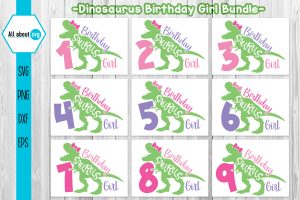 4042023CF54.jpg Birthday Dinosaurus Girl Bundle