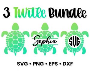 4042023CF77.jpg Turtle Svg Bundle, Turtle Split Monogram, Turtle Monogram Svg